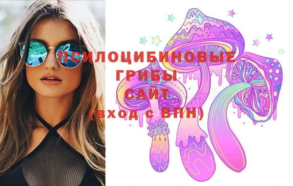 дживик Козельск