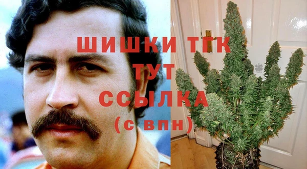дживик Козельск
