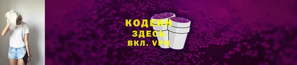 дживик Козельск