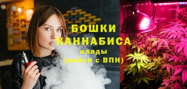 дурь Козловка