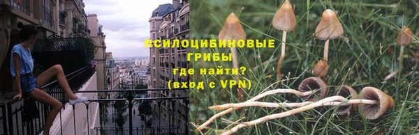 MDMA Кодинск