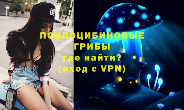 дживик Козельск