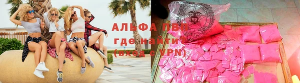 дживик Козельск